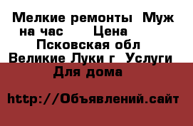 Мелкие ремонты. Муж на час    › Цена ­ 500 - Псковская обл., Великие Луки г. Услуги » Для дома   